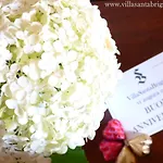 Bed & Breakfast Santa Brigida