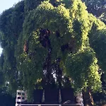 Santa Brigida Bed & Breakfast