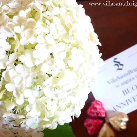 住宿加早餐酒店 圣布里吉达别墅住宿加早餐旅馆