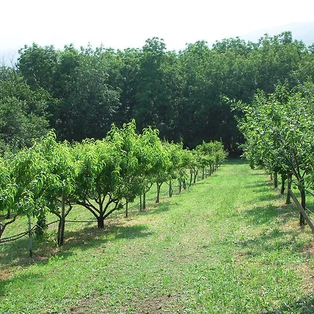 Santa Brigida Panzió *