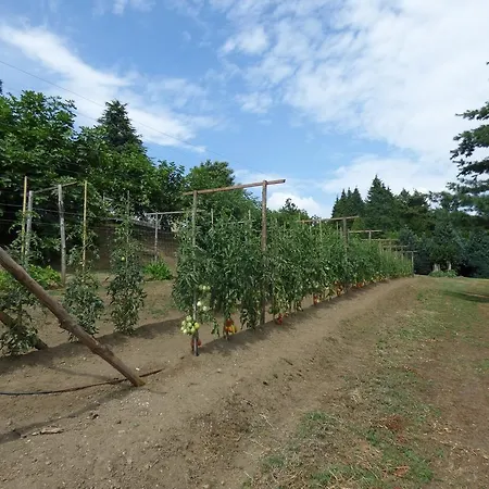 圣布里吉达别墅住宿加早餐旅馆 皮内罗洛