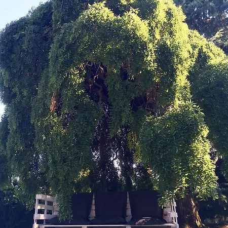 圣布里吉达别墅住宿加早餐旅馆 住宿加早餐酒店