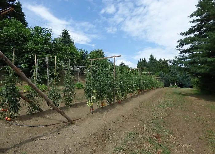 Santa Brigida Pinerolo