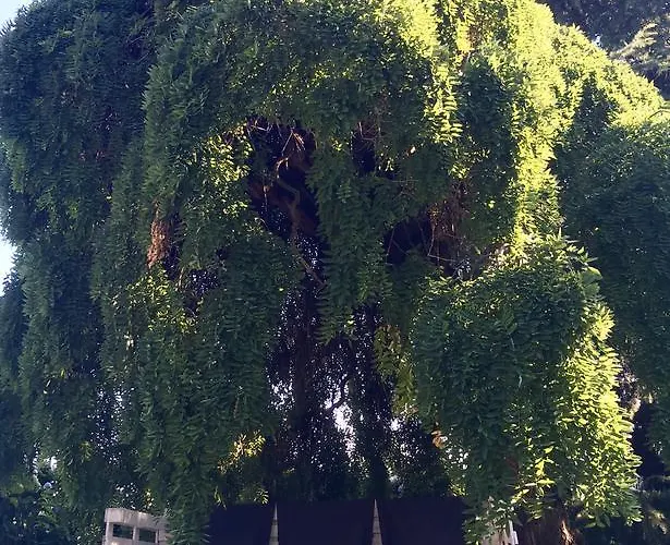 Santa Brigida Panzió